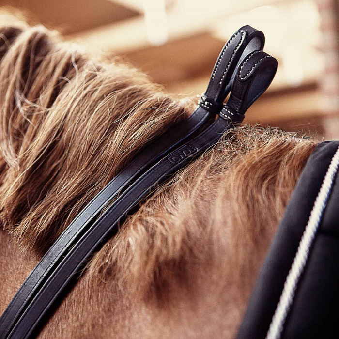 Raised dressage contact reins