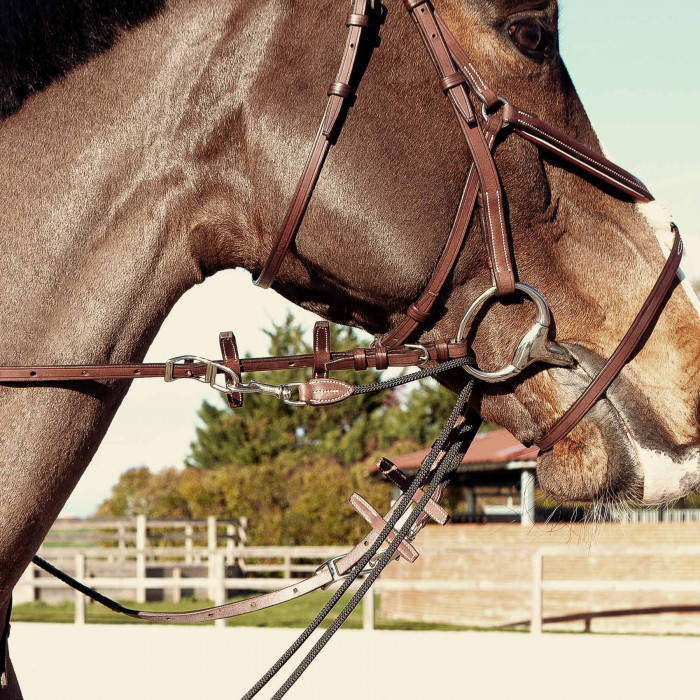 Howlett rubber reins