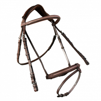 Trensenzaum englischem Reithalfter - Kontakt