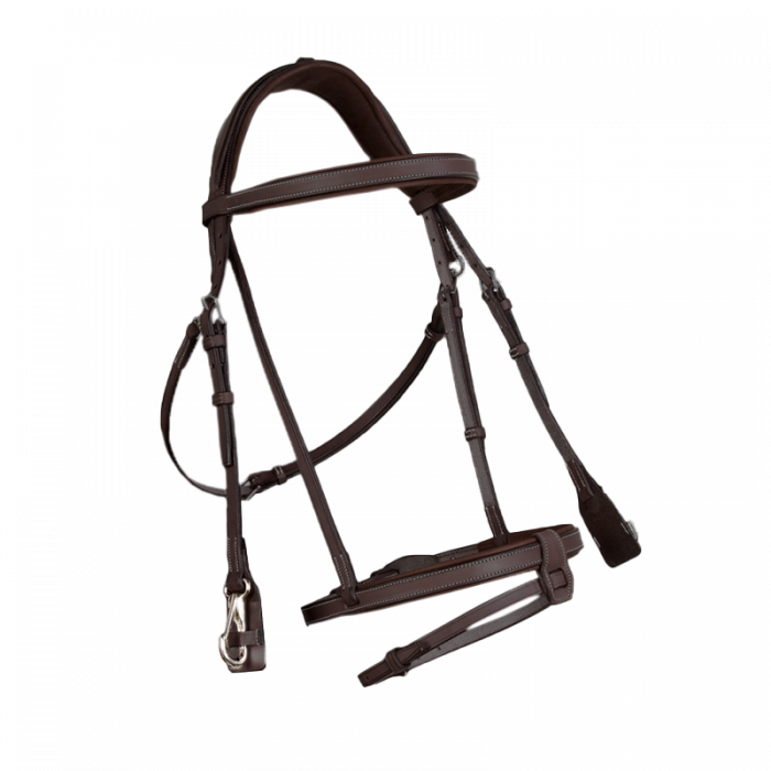 Trainingstrense mit englischem Reithalfter