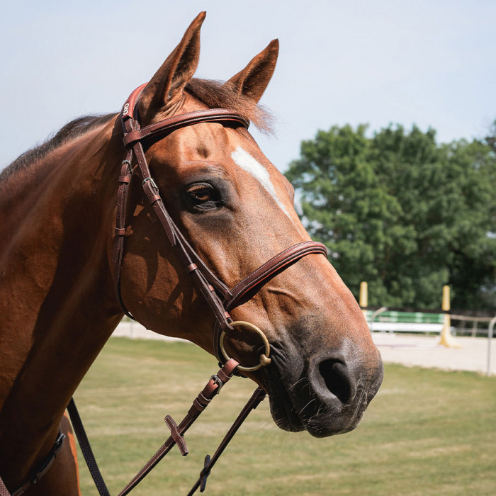 Anatomic french noseband bridle with fancy stitching