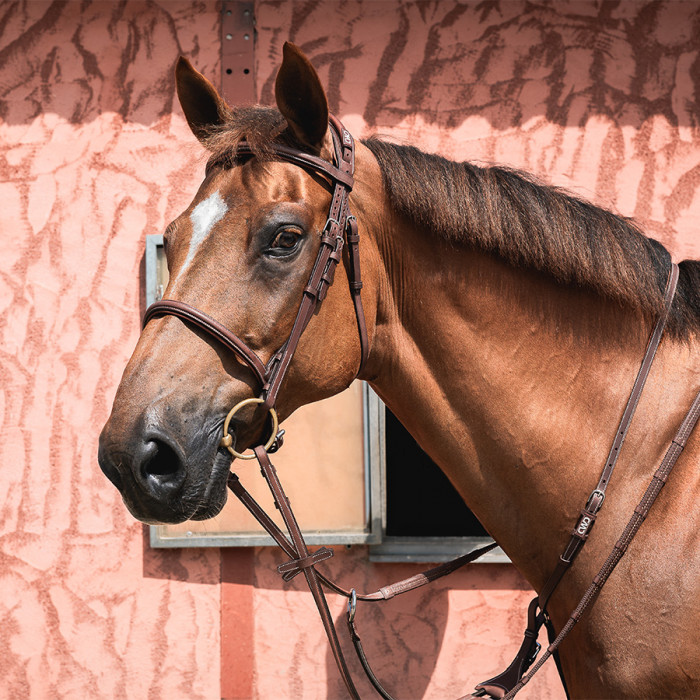 Bridon anatomique muserolle française 1/2 rond