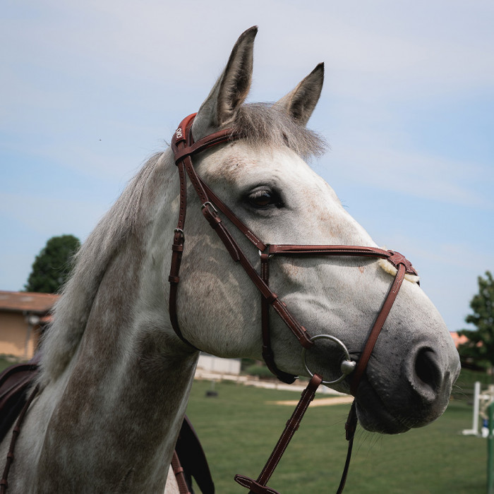 Anatomic figure 8 noseband bridle with fancy stitching