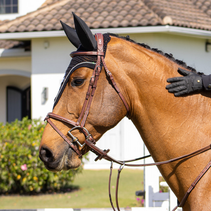 Raised French Noseband Bridle with fancy stitching
