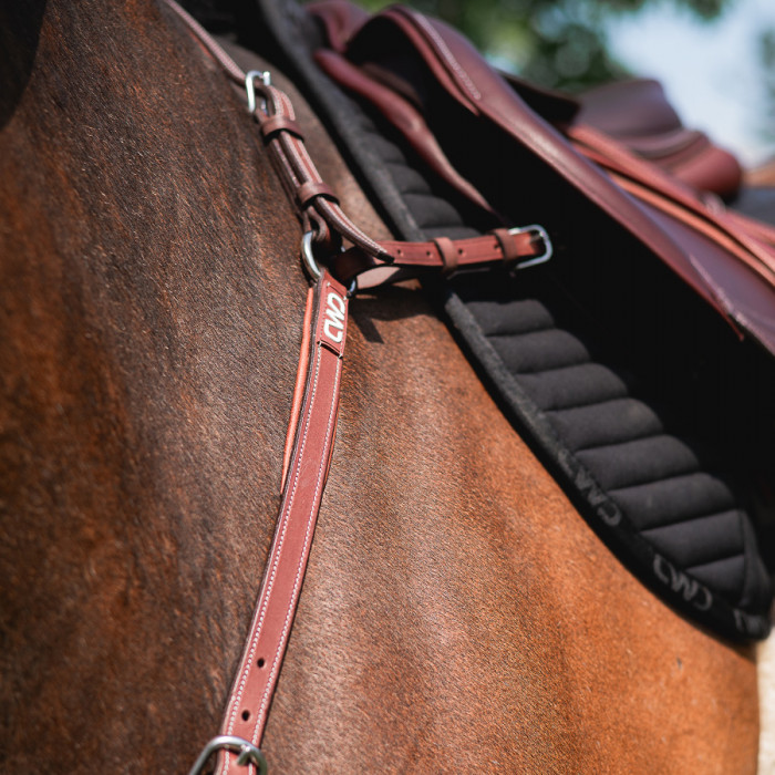 Adjustable bridge breastplate