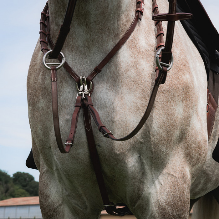 Ringmartingal Linie halbrund