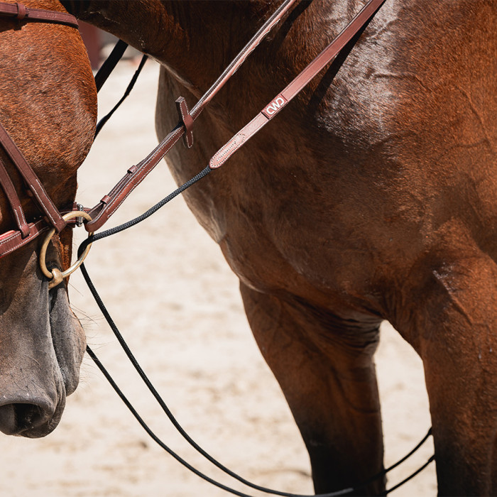 Rênes allemandes corde