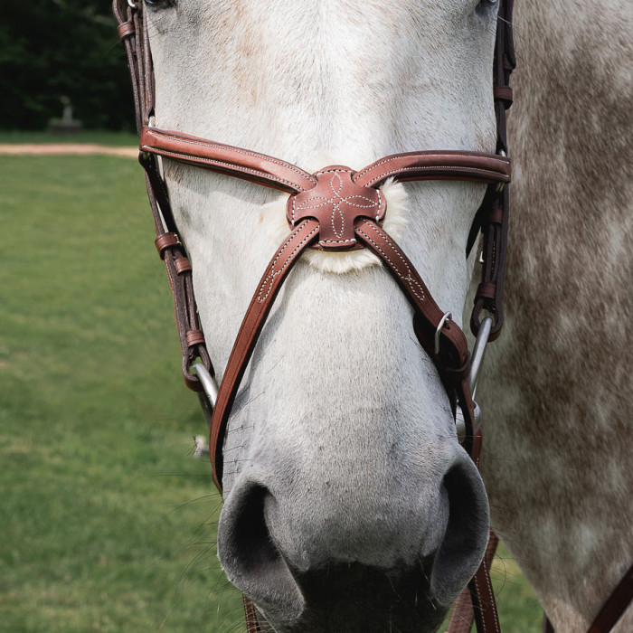 Raised figure 8 noseband with fancy stitching