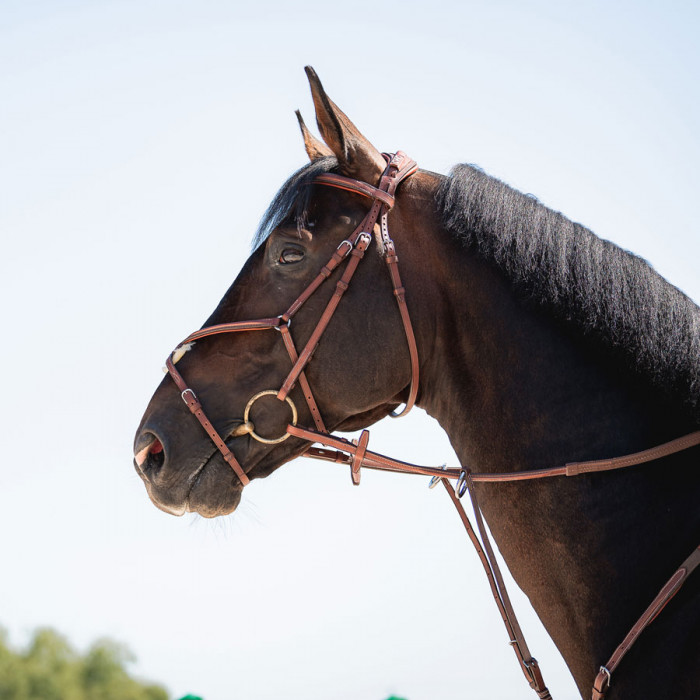 Sport Color Anatomic figure 8 noseband bridle with fancy stitching