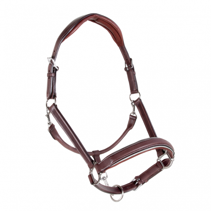 Sport Color stable halter