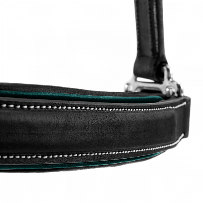 Stallhalfter Sport Color