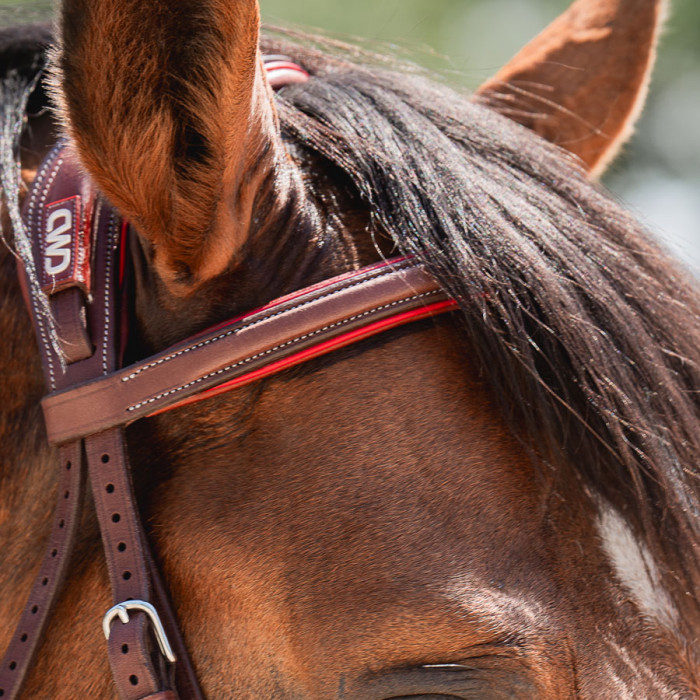 Sport Color browband with stitching