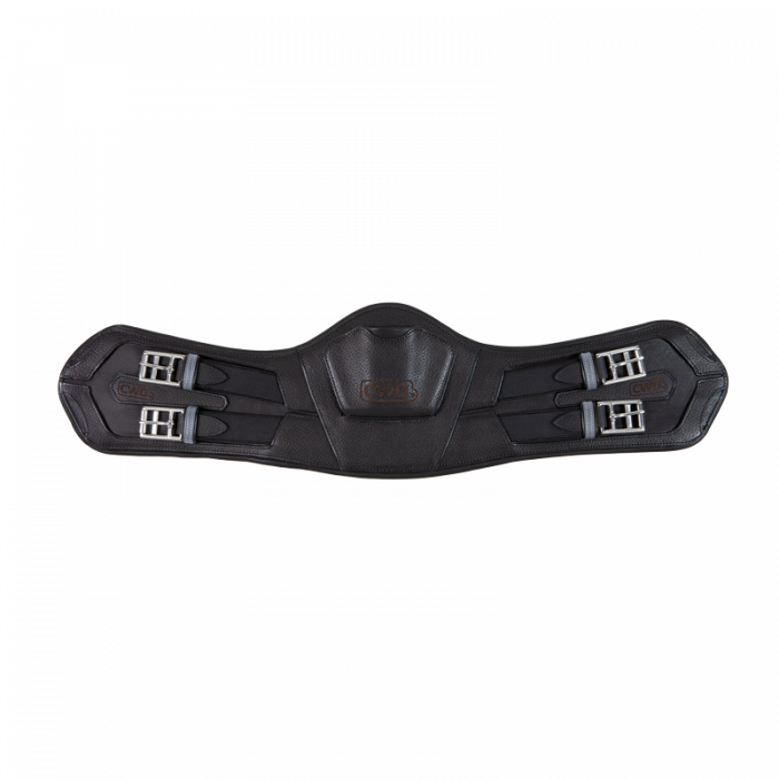 Sangle dressage courte