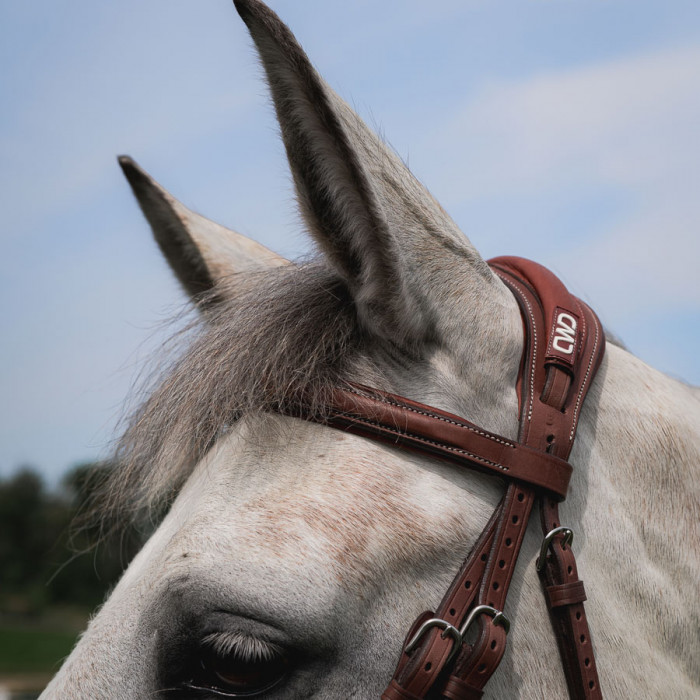 Browband