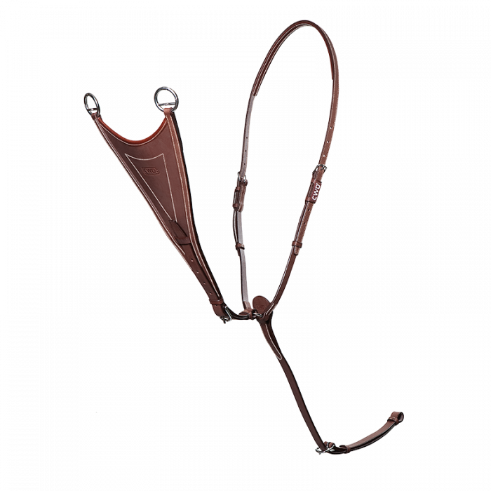 Geschlossenes Martingal