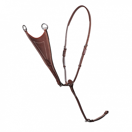 Martingale cheval | Équitation