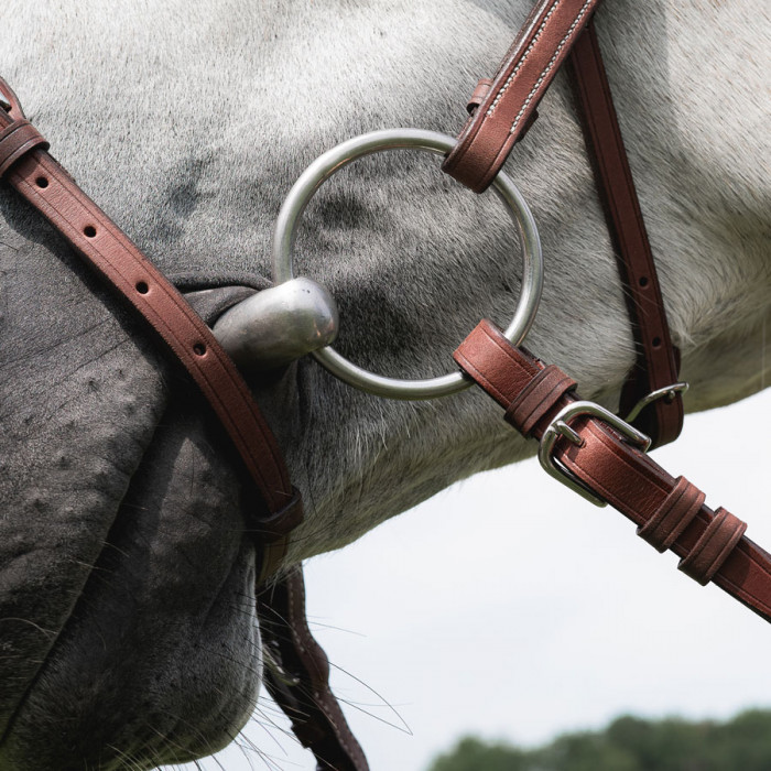 Contact Noseband