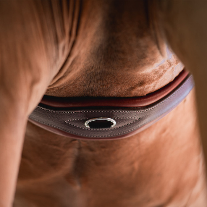 Klassischer Sattelgurt