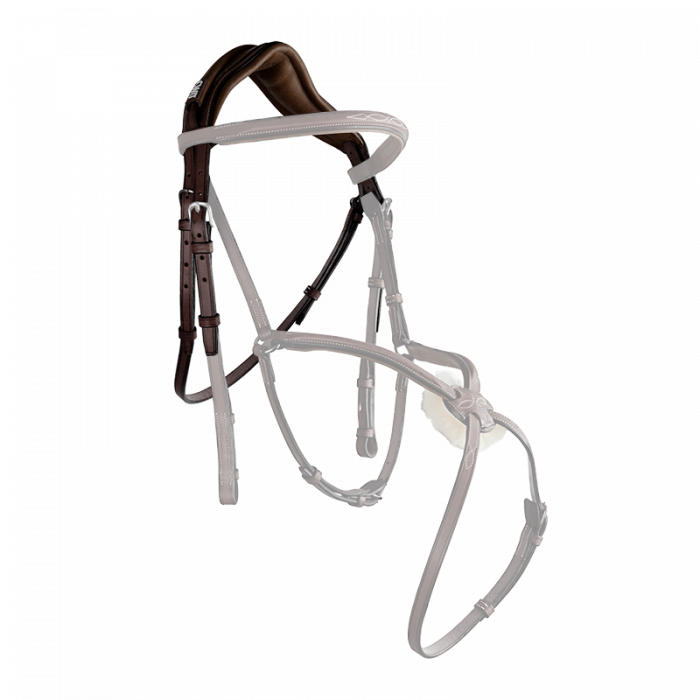 Anatomic headpiece (BR09)