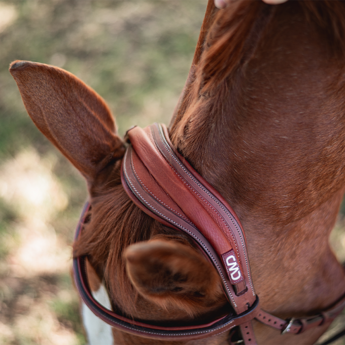 Anatomisch geformtes Genickstück (BR09)