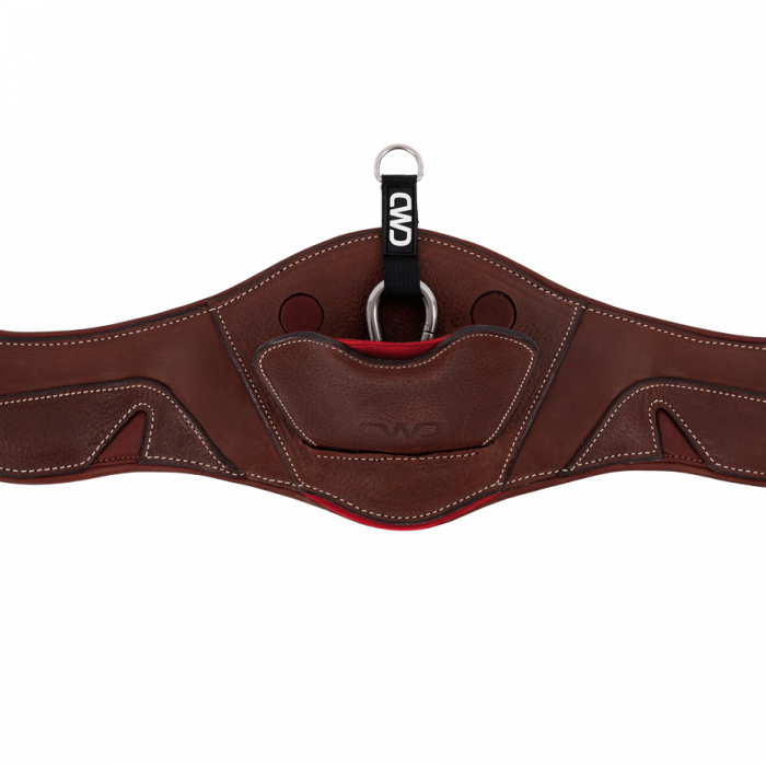 Flexmotion Sattelgurt Sport Color