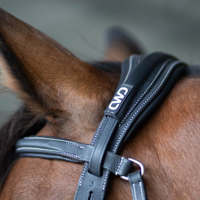 Anatomic bridle with fancy stitching