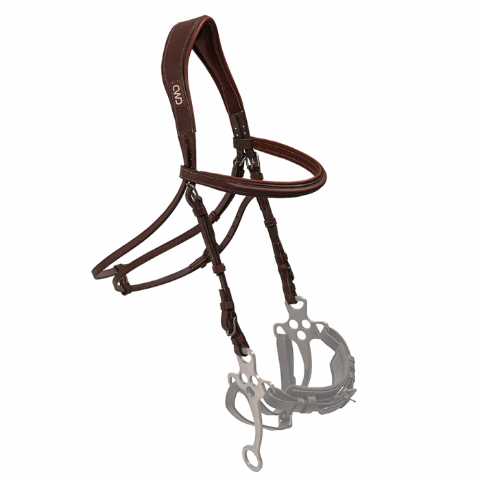 Hackamore bridle