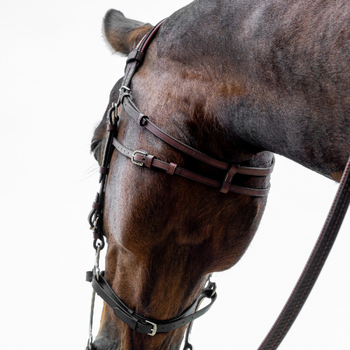 Hackamore bridle