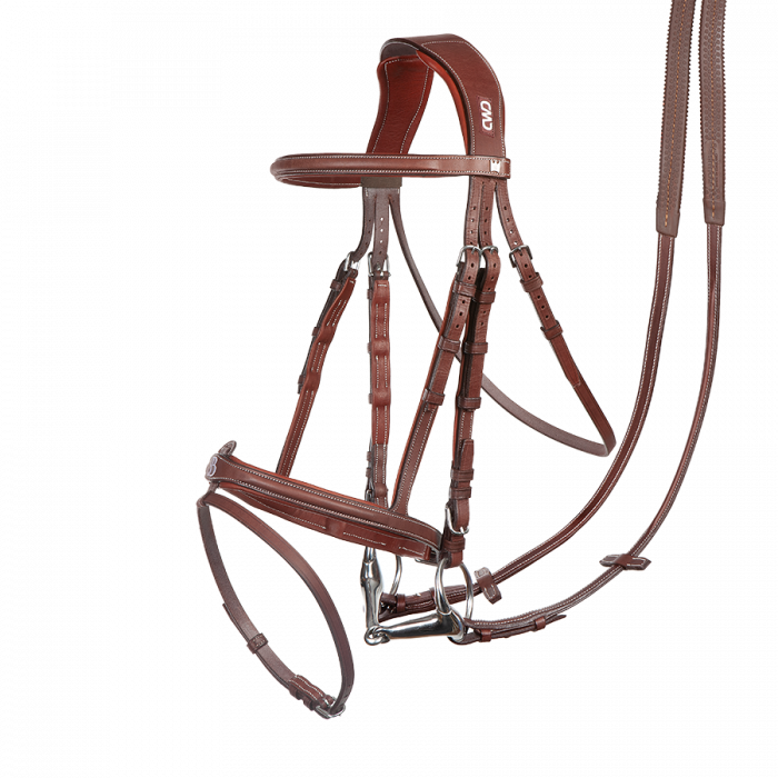 Scott Brash bridle + reins. The perfectionist.