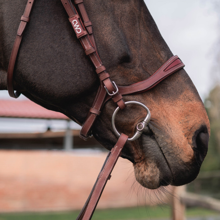 Flexmotion Bridle