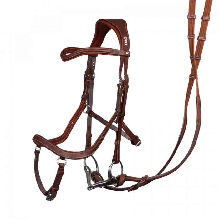 Rolf-Goran Bengtsson bridle + reins.  The sensitive.