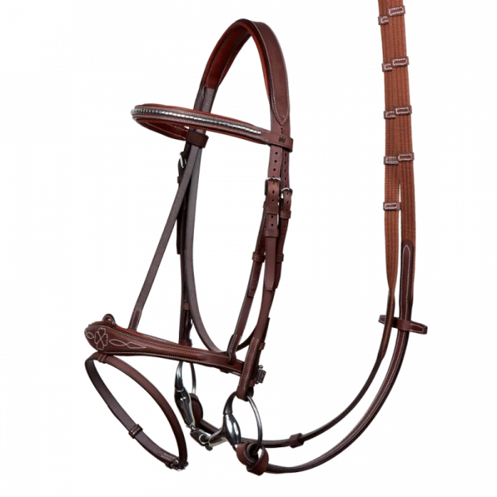 Harrie Smolders bridle + reins. The original bridle.