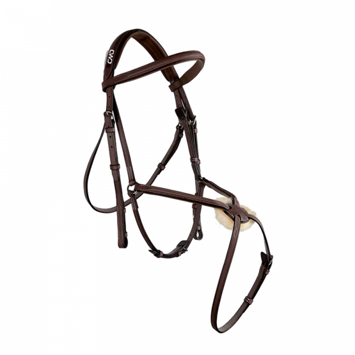 Raised figure 8 noseband bridle