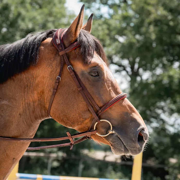 Sport Color Anatomic french noseband bridle with stitching