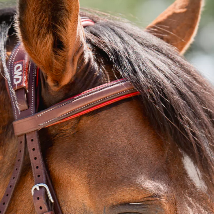 Sport Color browband with stitching
