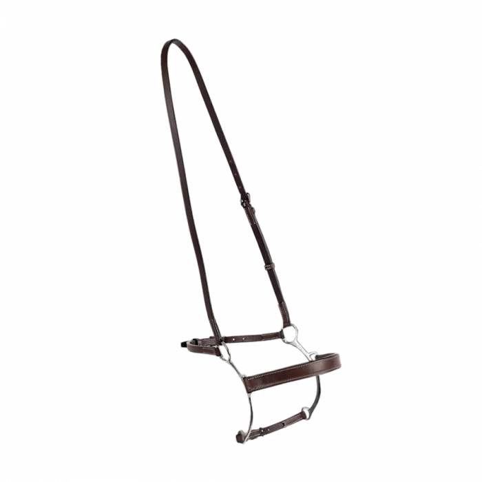 Muserolle Hackamore