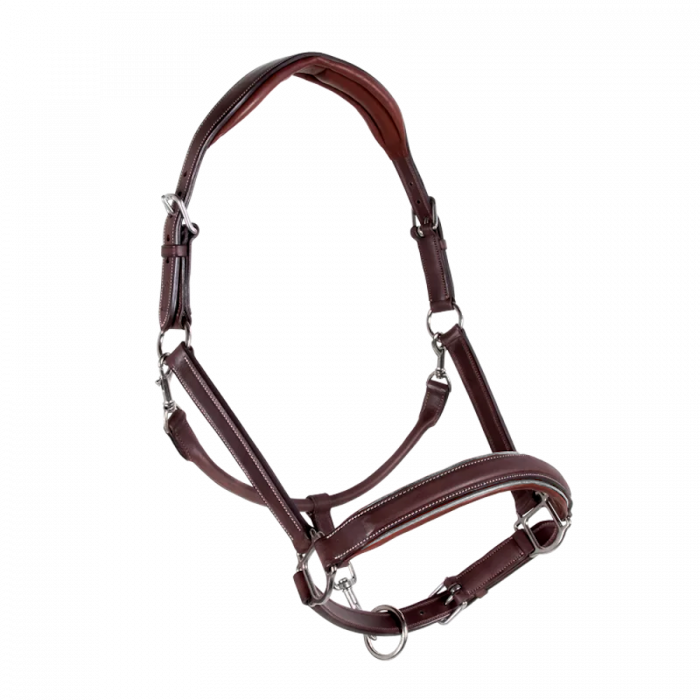 Sport Color stable halter