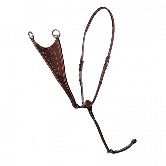 Geschlossenes Martingal
