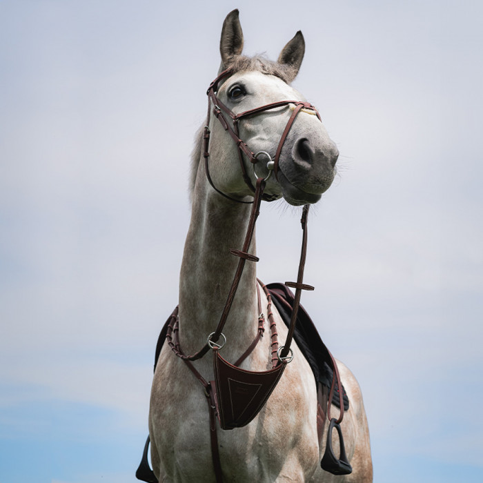 Bib martingale