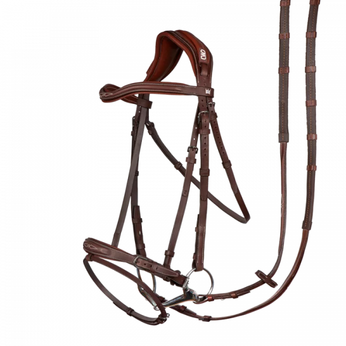 Bridon + rênes Kent Farrington. L’astucieux.