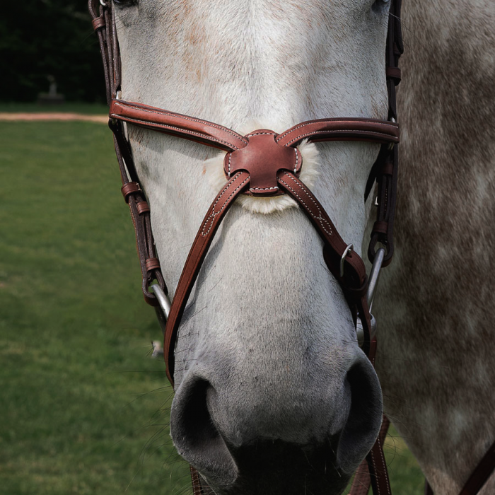 Raised figure 8 noseband