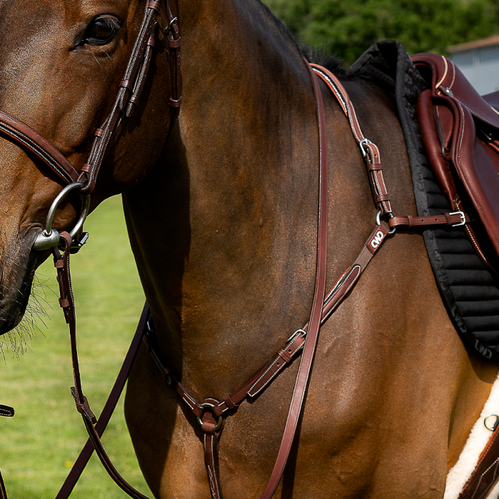 Hunter reins