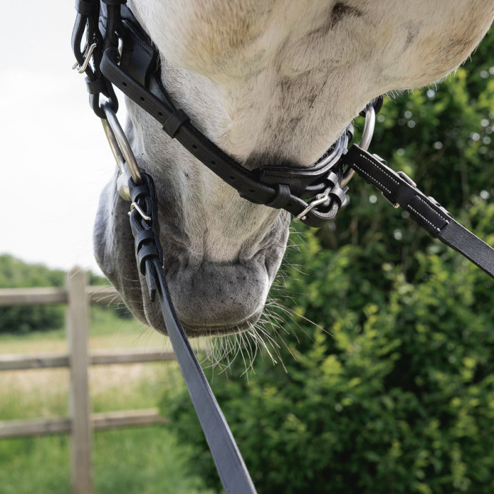 Dressage contact reins