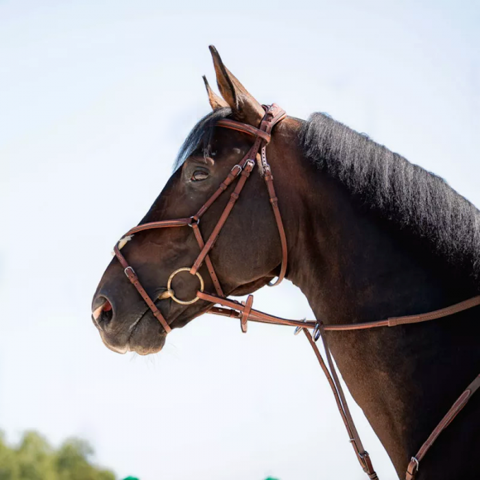 Sport Color Anatomic figure 8 noseband bridle with fancy stitching
