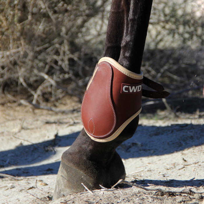 Sport Color buckle open fetlock boots - Factory second