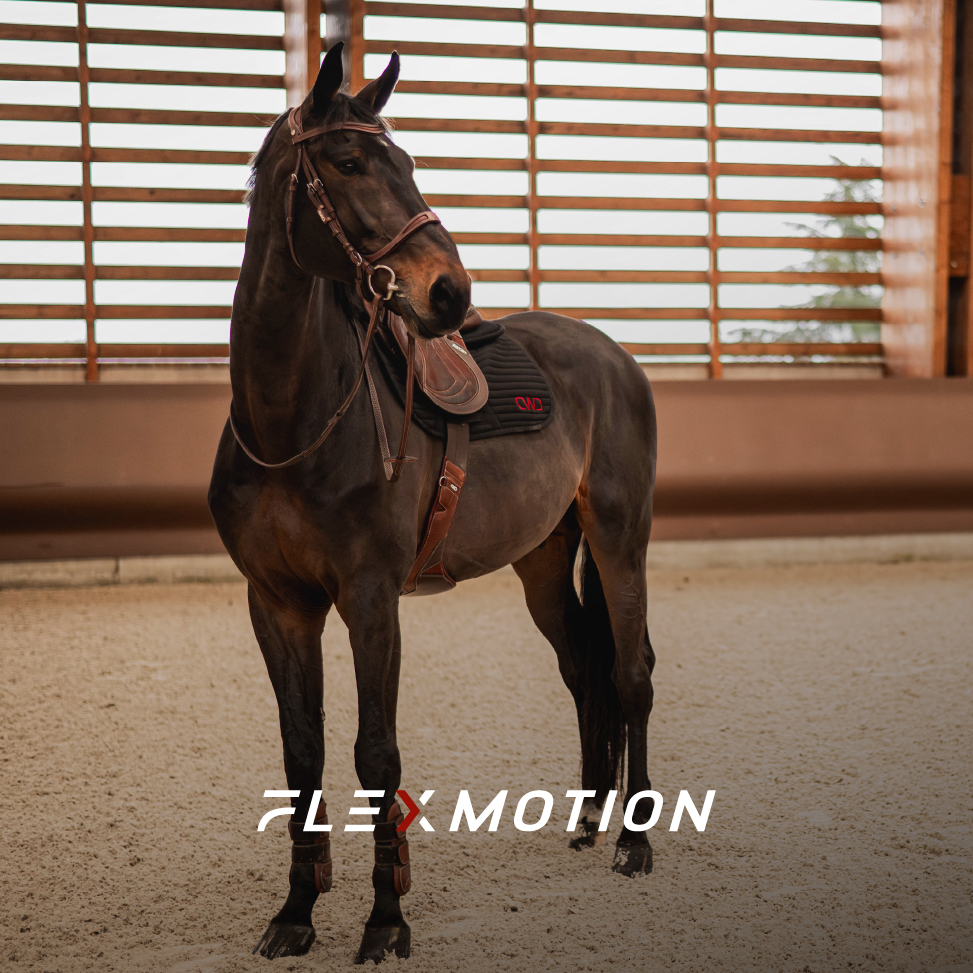 FlexMotion