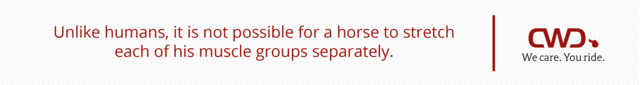 Unlike humans, it is not possible for a horse to stretch each of his muscle groups separately.