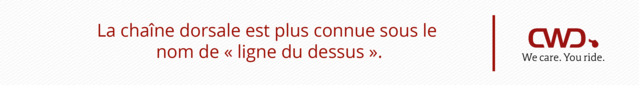 La chaîne dorsale est plus connue sous le nom de « ligne du dessus ».