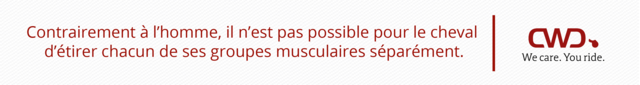 Contrairement à l’homme, il n’est pas possible pour le cheval d’étirer chacun de ses groupes musculaires séparément.