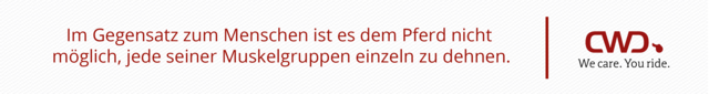 Im Gegensatz zum Menschen ist es dem Pferd nicht möglich, jede seiner Muskelgruppen einzeln zu dehnen.